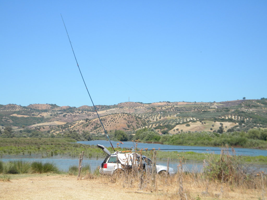 DSCN2588 .JPG